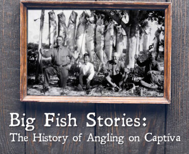 article image -